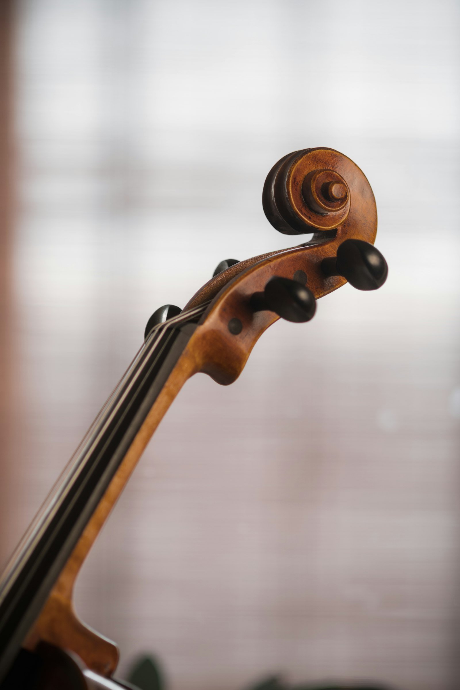 Primer plano de un violín apoyado sobre una mesa